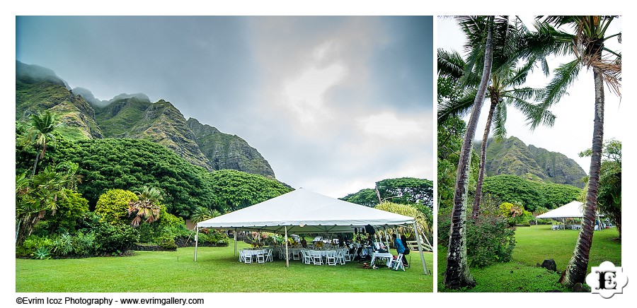 Kualoa Ranch Paliku-Gardens wedding