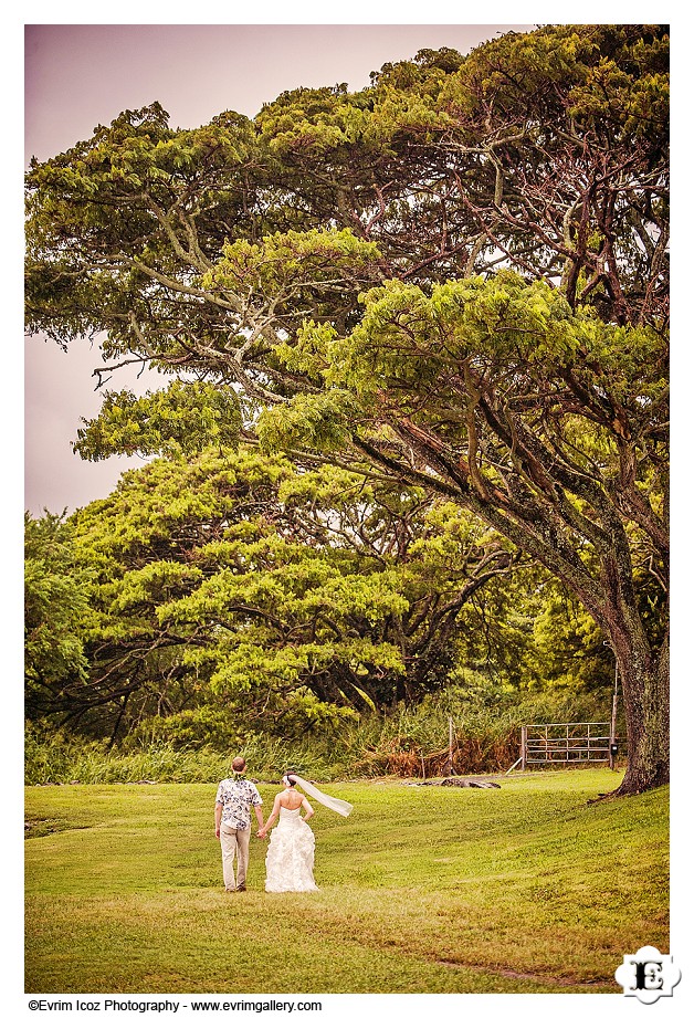 Kualoa Ranch Paliku-Gardens wedding