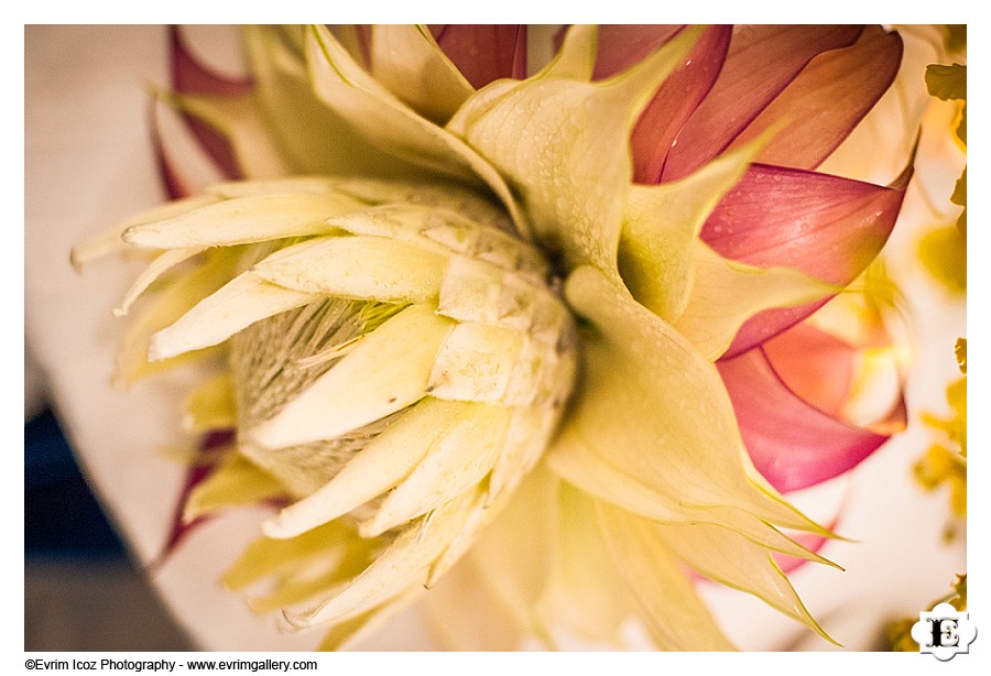 Kualoa Ranch Paliku-Gardens wedding