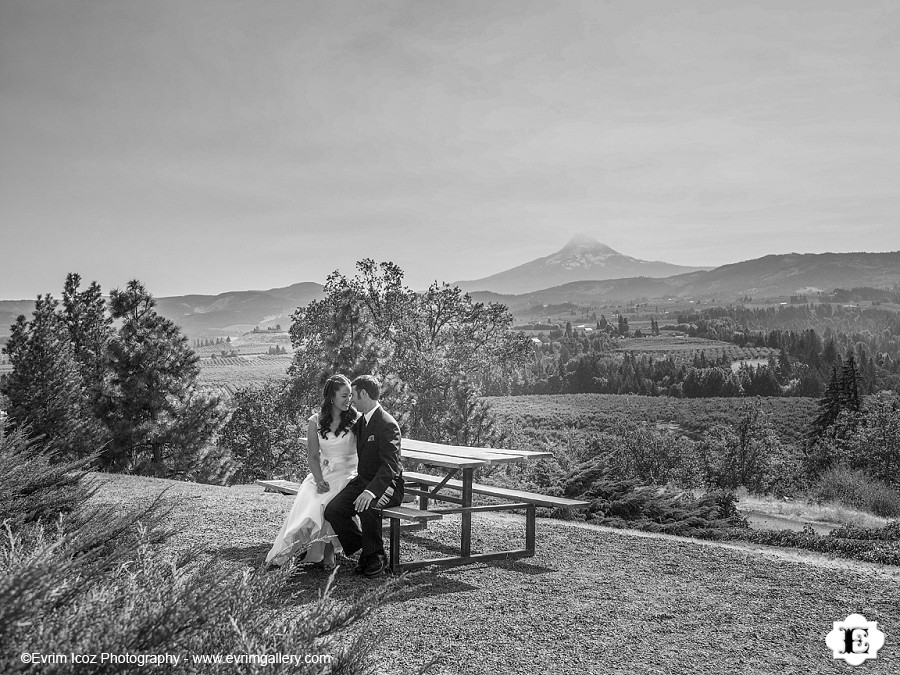 Springhouse Cellar Winery Hood River Wedding