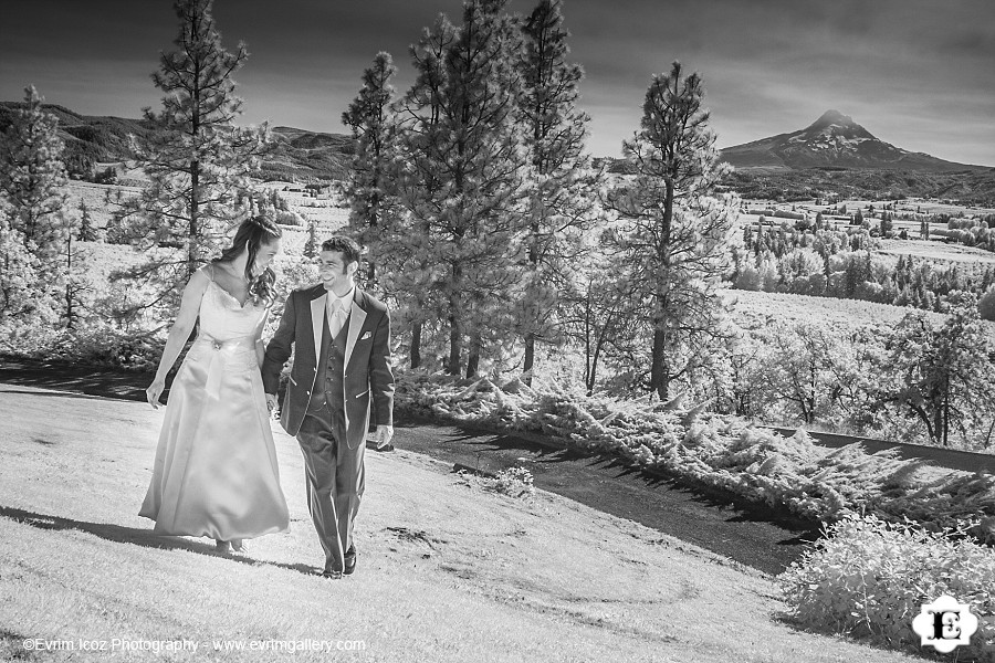 Springhouse Cellar Winery Hood River Wedding