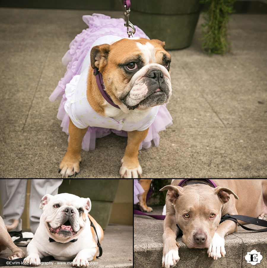 McMenamins Kennedy School Wedding