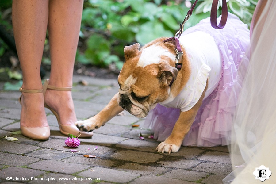 McMenamins Kennedy School Wedding