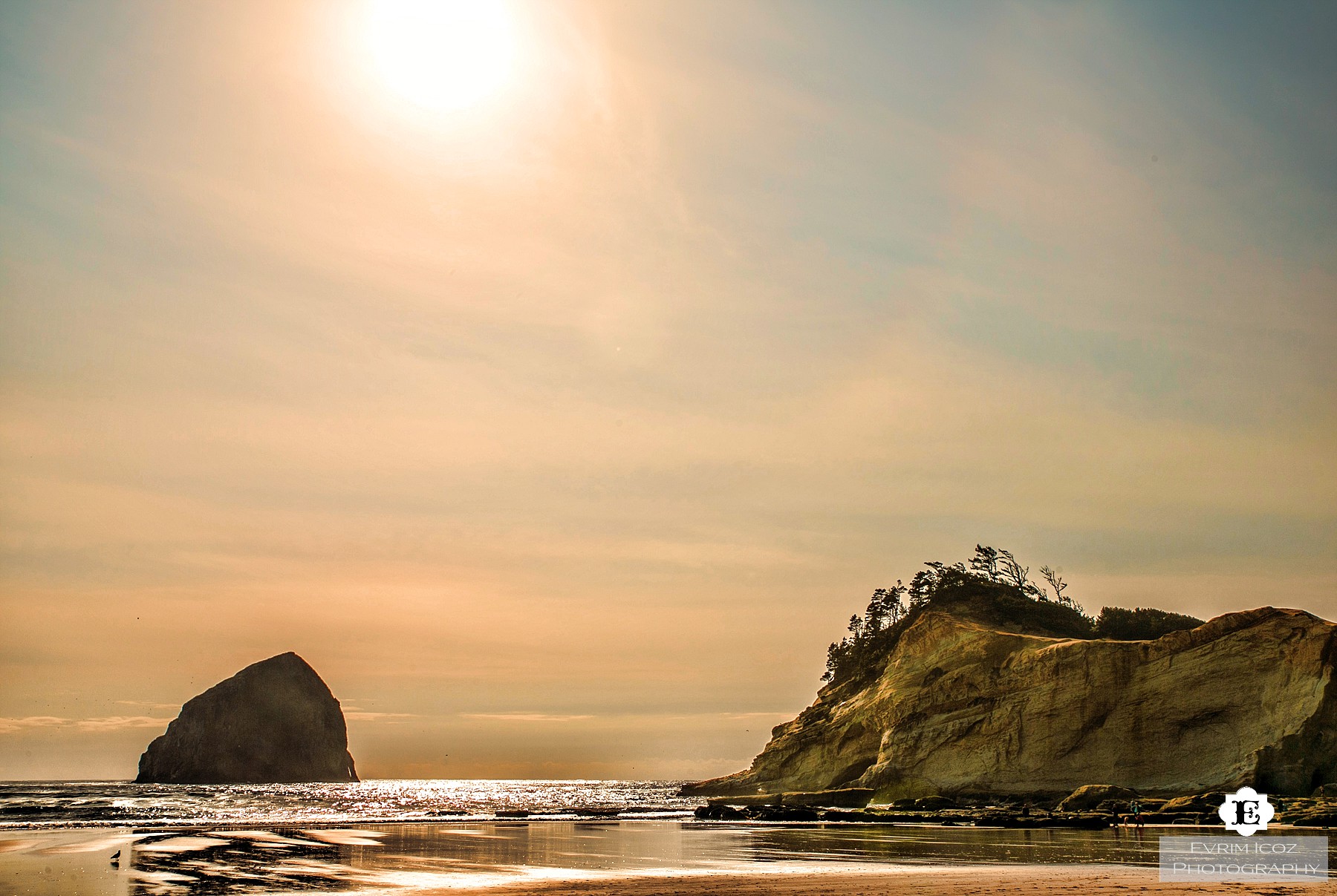 Pacific City Cape Kiwanda Oregon Beach Wedding