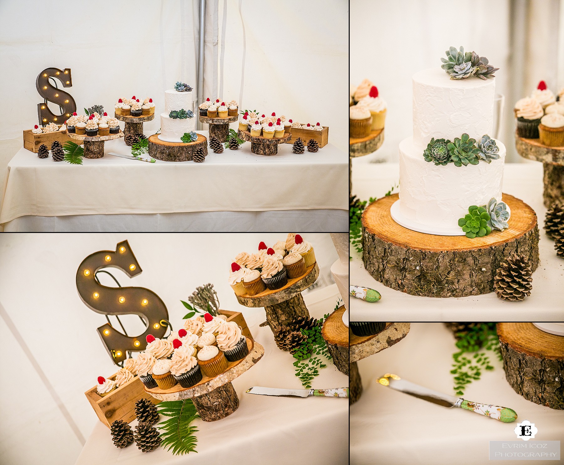 World Forestry Center Wedding