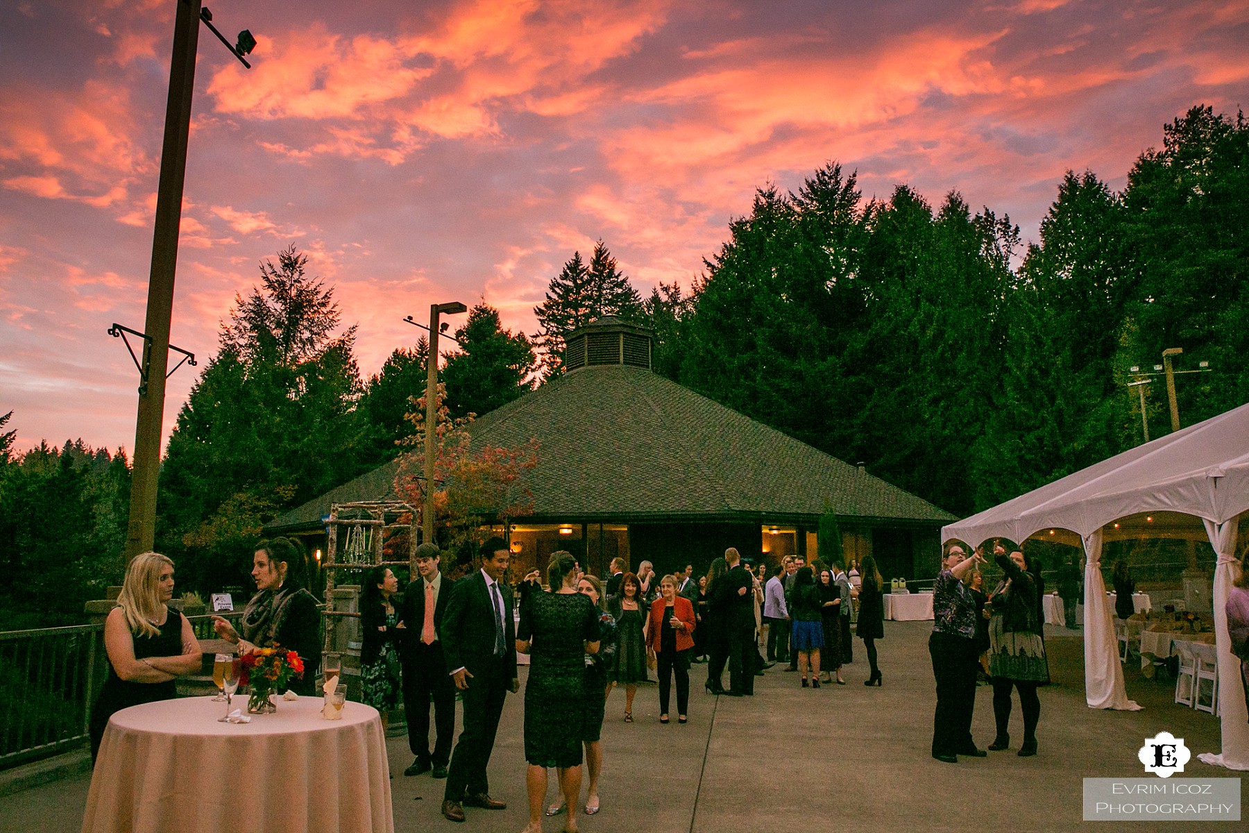 World Forestry Center Wedding