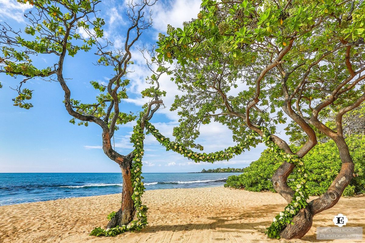 Four Seasons Big Island Resort Wedding