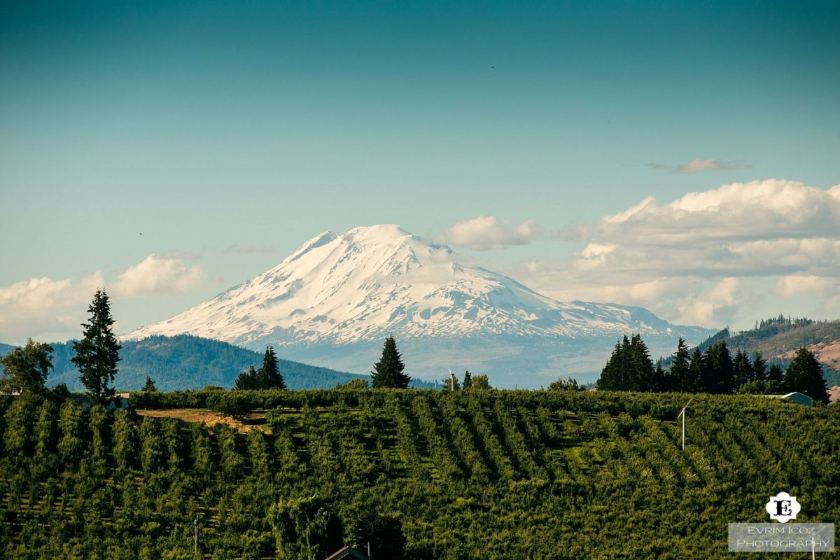 Hood River Wedding