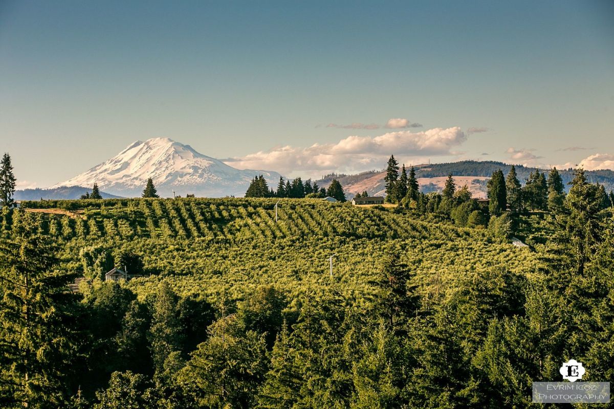 Hood River Wedding