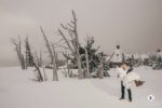 Timberline Lodge Wedding